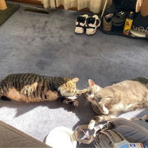 Meet your Posher, Kelci